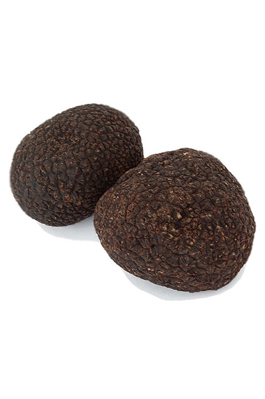 Tuber melanosporum Vitt. (tartufo nero pregiato)