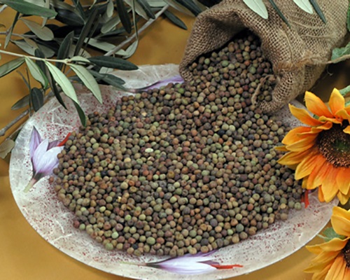 Roveja