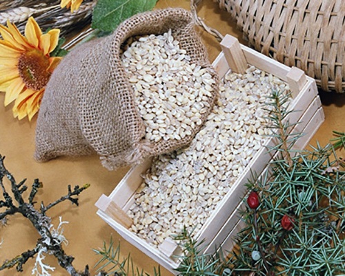 Orzo