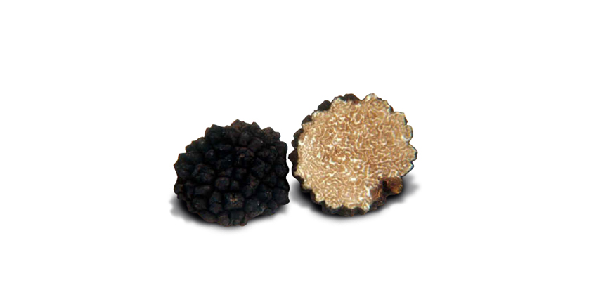 Tuber Aestivum Vitt (tartufo d’estate o scorzone)