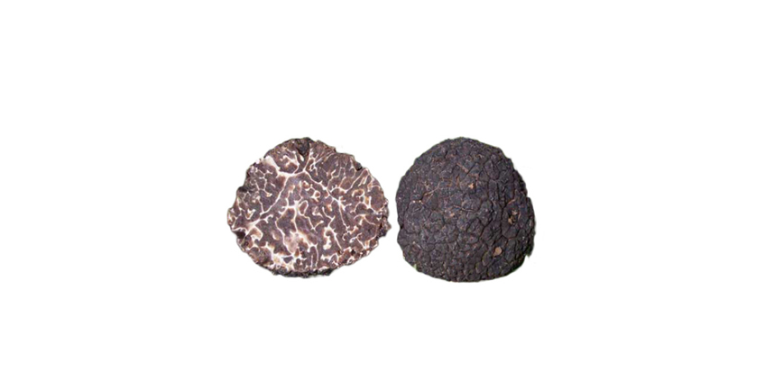 Tuber Brumale Vitt (tartufo nero d’inverno o trifola nera)