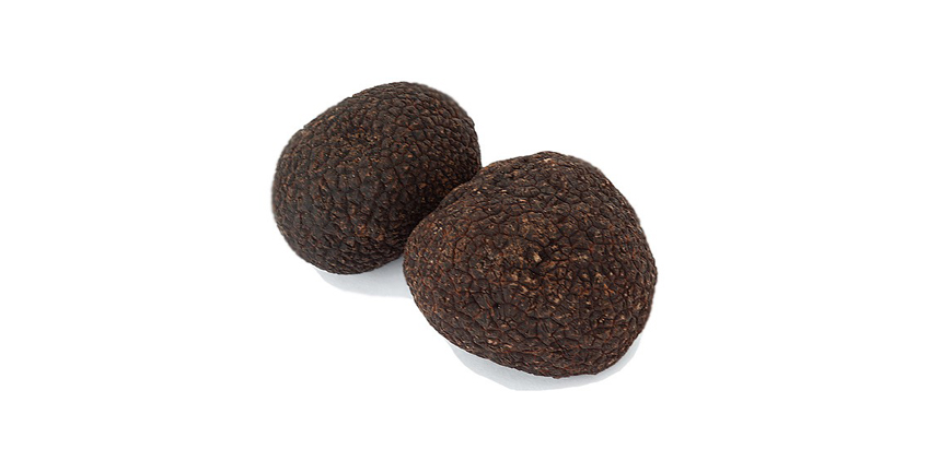 Tuber Melanosporum Vitt. (tartufo nero pregiato)