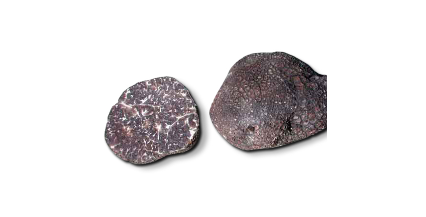 TUBER MACROSPORUM VITT. (tartufo nero liscio)