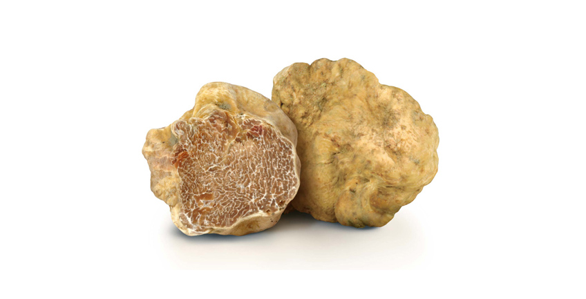 Tuber Magnatum Pico (tartufo bianco)